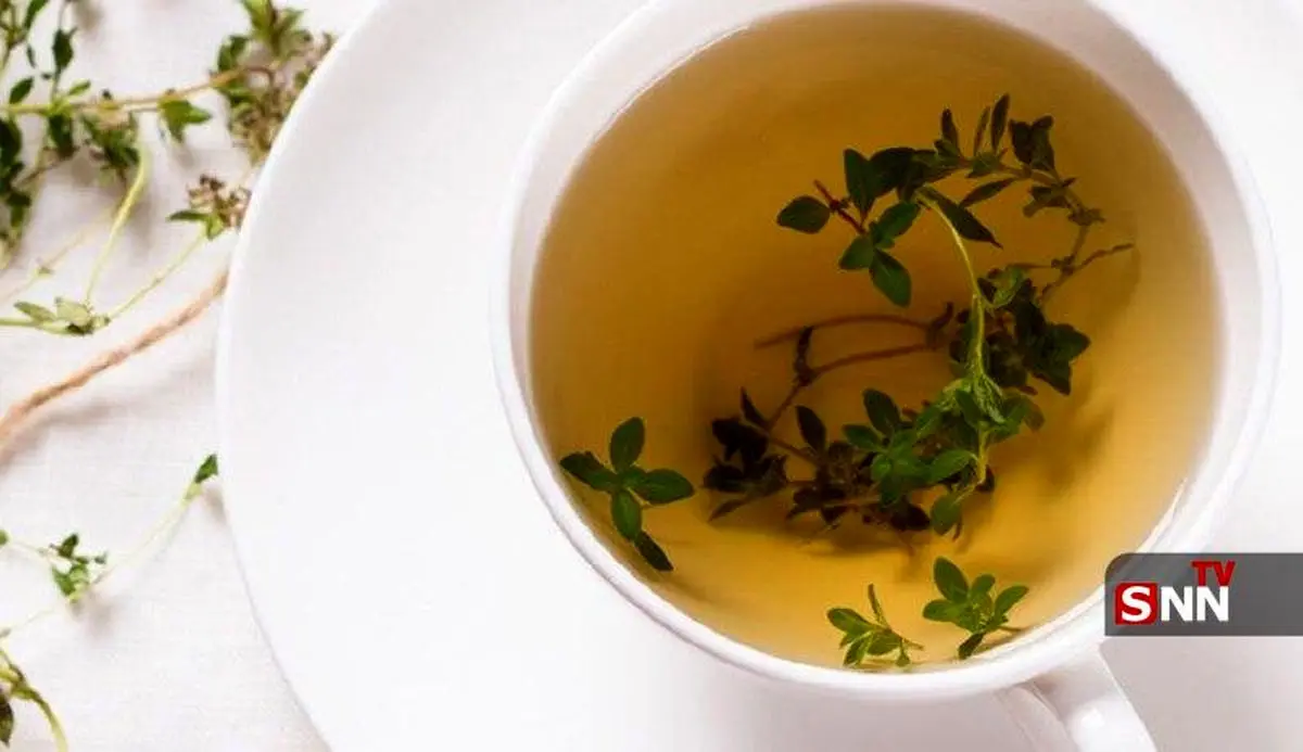 آویشن؛ گیاهی با خواص فوق‌العاده و هشدارهای جدی مصرف