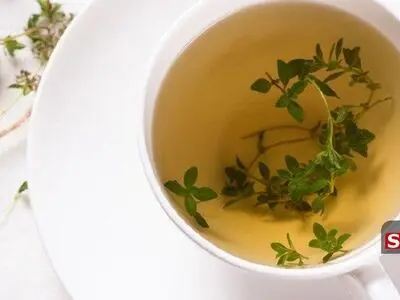 آویشن؛ گیاهی با خواص فوق‌العاده و هشدارهای جدی مصرف