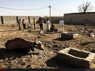 برای نجات خوزستان "هورالعظیم" را در اسرع وقت آبگیری کنید