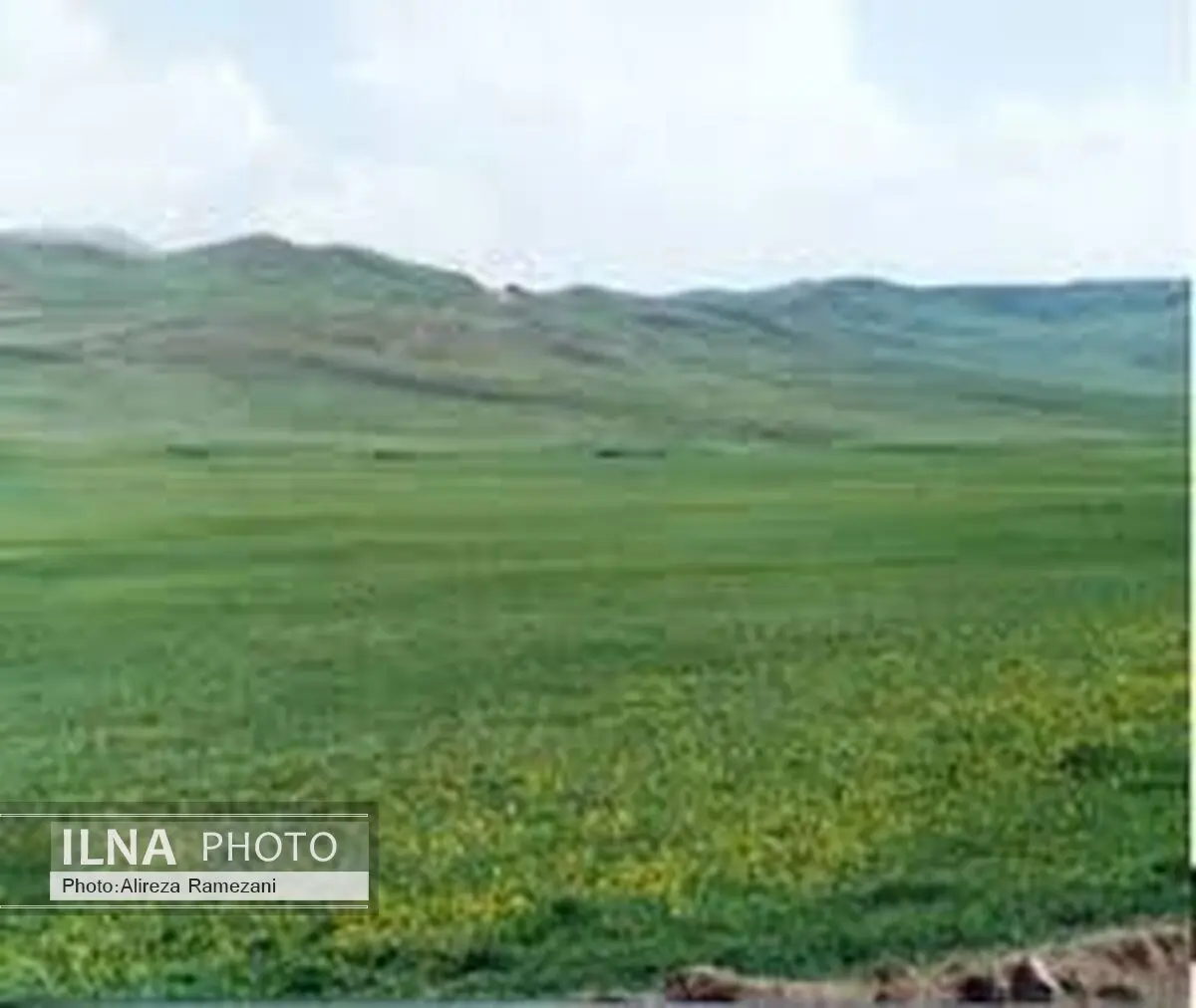 پرداخت 800 میلیارد ریال تسهیلات به تشکل‌های بخش کشاورزی استان گلستان 