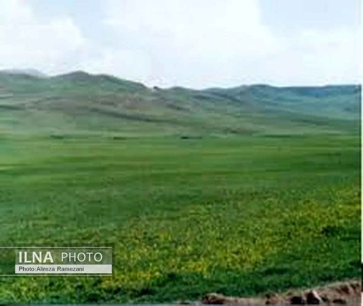 پرداخت 800 میلیارد ریال تسهیلات به تشکلهای بخش کشاورزی استان گلستان