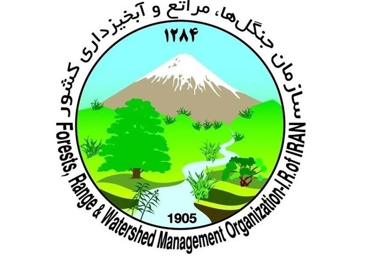 سازمان منابع طبیعی مکلف به حفظ، احیا و توسعه جنگل شد