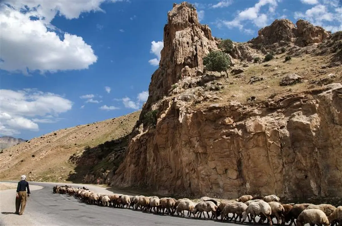 مرگ یک کارگر دامدار در استخر کارگاه سنگ‌شکن 