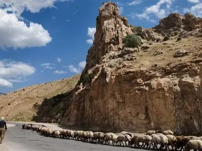مرگ یک کارگر دامدار در استخر کارگاه سنگ‌شکن 