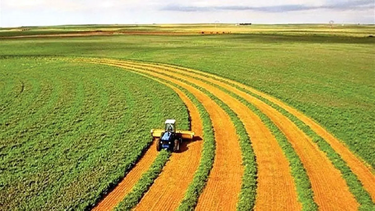 جایگزین اراضی آبی با دیم در راستای کاهش استفاده از منابع آبی