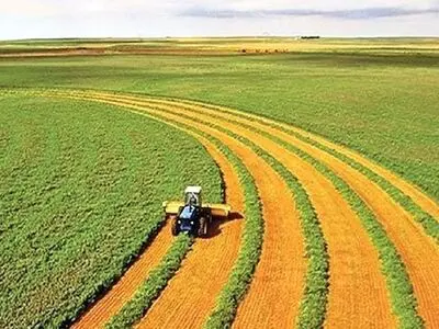 جایگزین اراضی آبی با دیم در راستای کاهش استفاده از منابع آبی