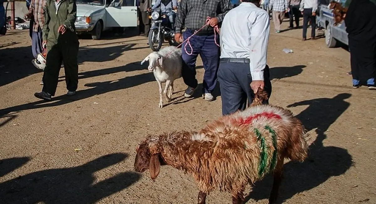  هشدار نسبت به بیمارى هاى مشترک بین انسان و دام