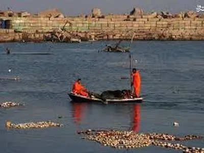  لحظه به شهادت رساندان ماهی‌گیر فلسطینی در غزه + فیلم