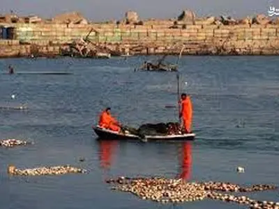  لحظه به شهادت رساندان ماهی‌گیر فلسطینی در غزه + فیلم