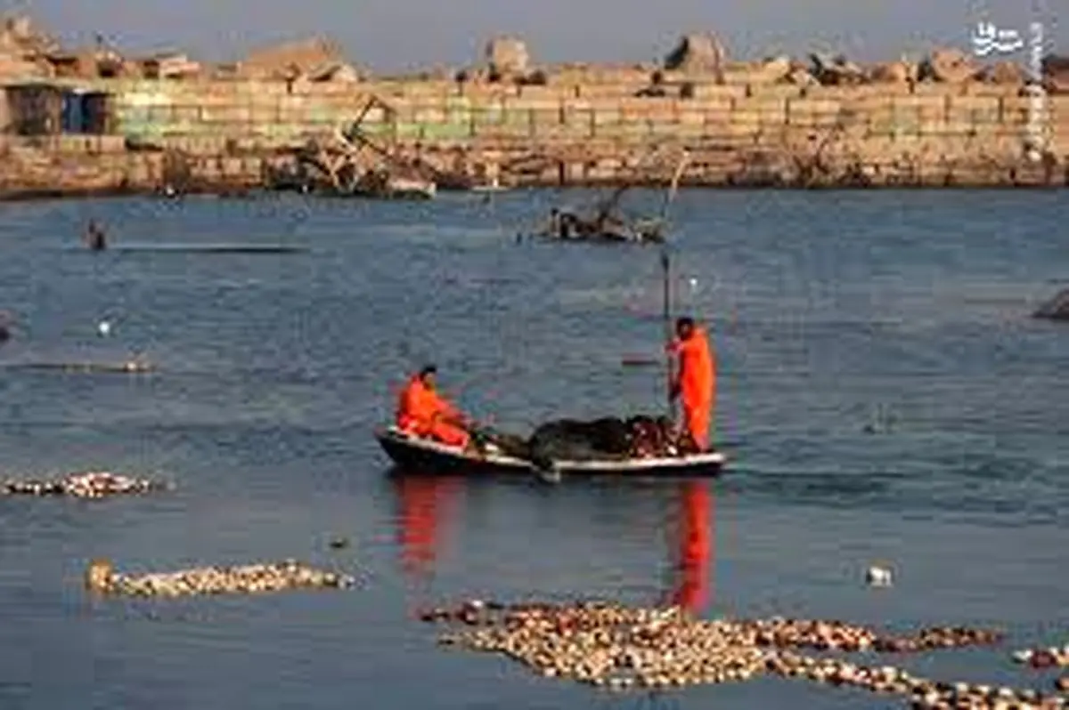  لحظه به شهادت رساندان ماهی‌گیر فلسطینی در غزه + فیلم