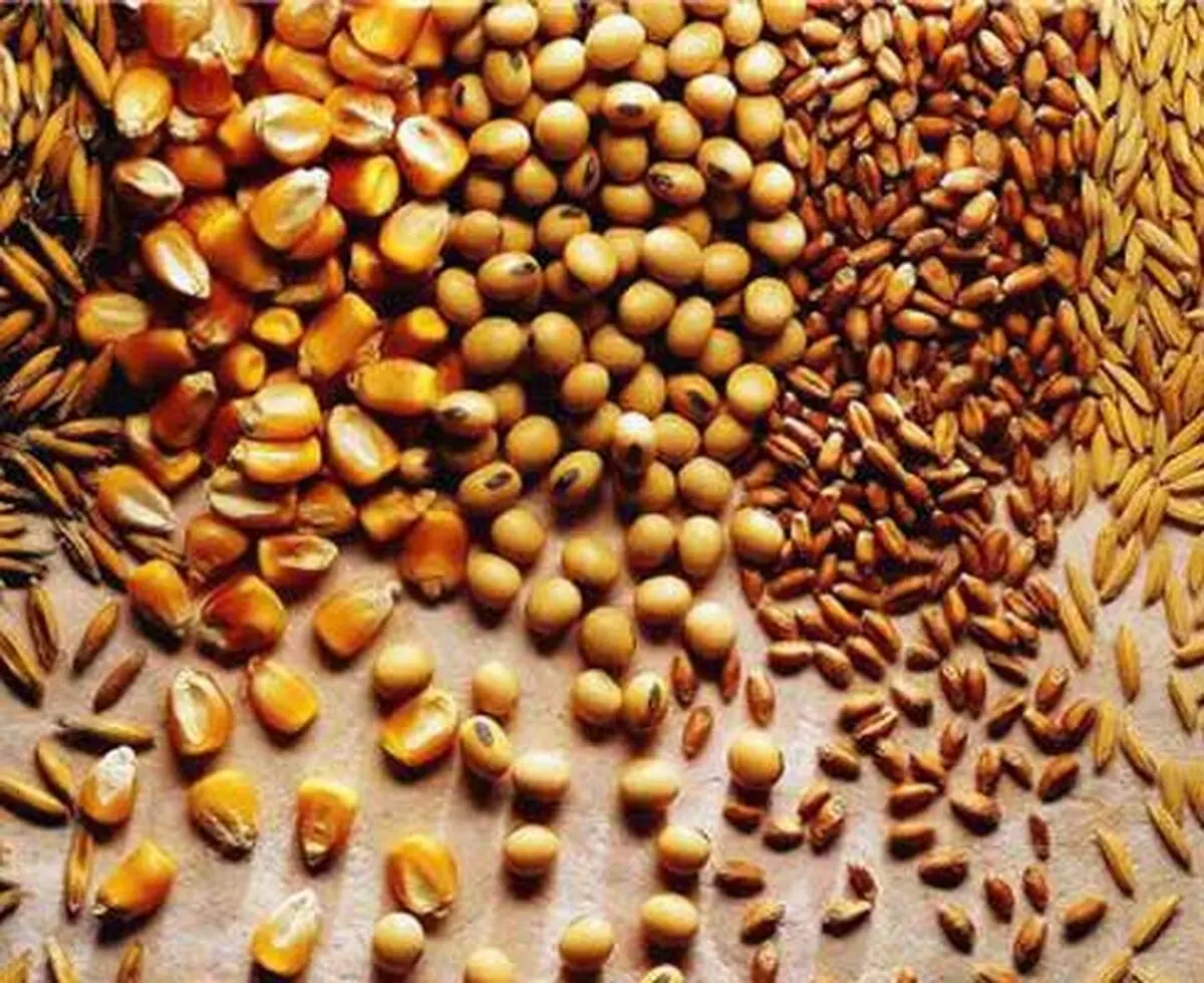 تامین نهاده های دامی انحصاری نیست