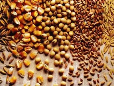 تامین نهاده های دامی انحصاری نیست