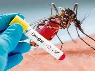 ثبت 914 مورد بیماری تب دنگی در حوزه دانشکده علوم پزشکی چابهار