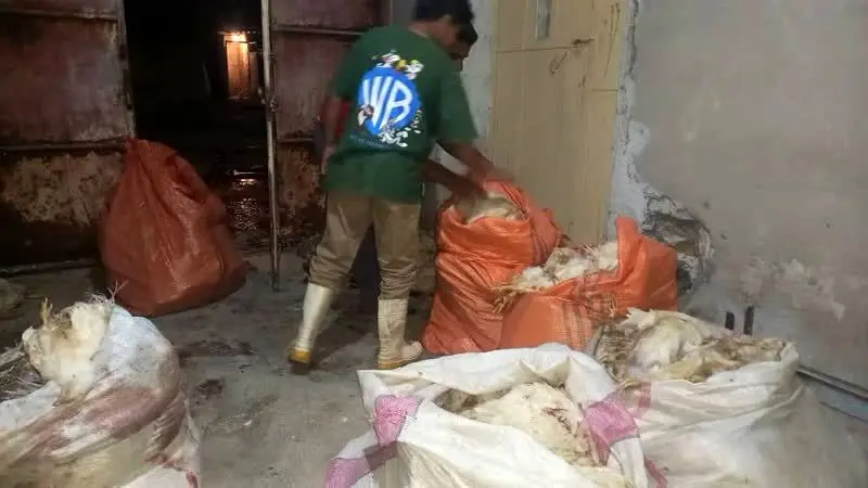 asdasd