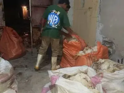 در سیلاب بیش از ۲۰ هزار مرغ در روستای «مهدی‌آباد یکمهه» مسجدسلیمان تلف شد