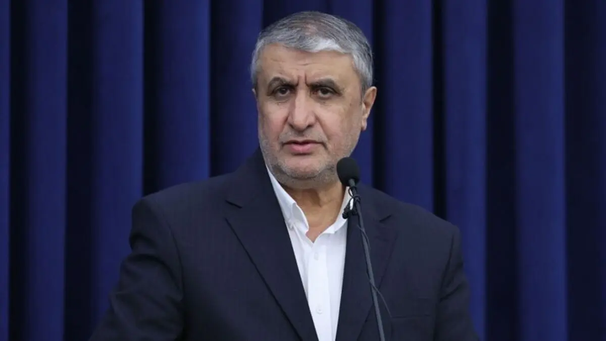 سفر ۲ تن از بازرسان آژانس به ایران با مجوز شعام