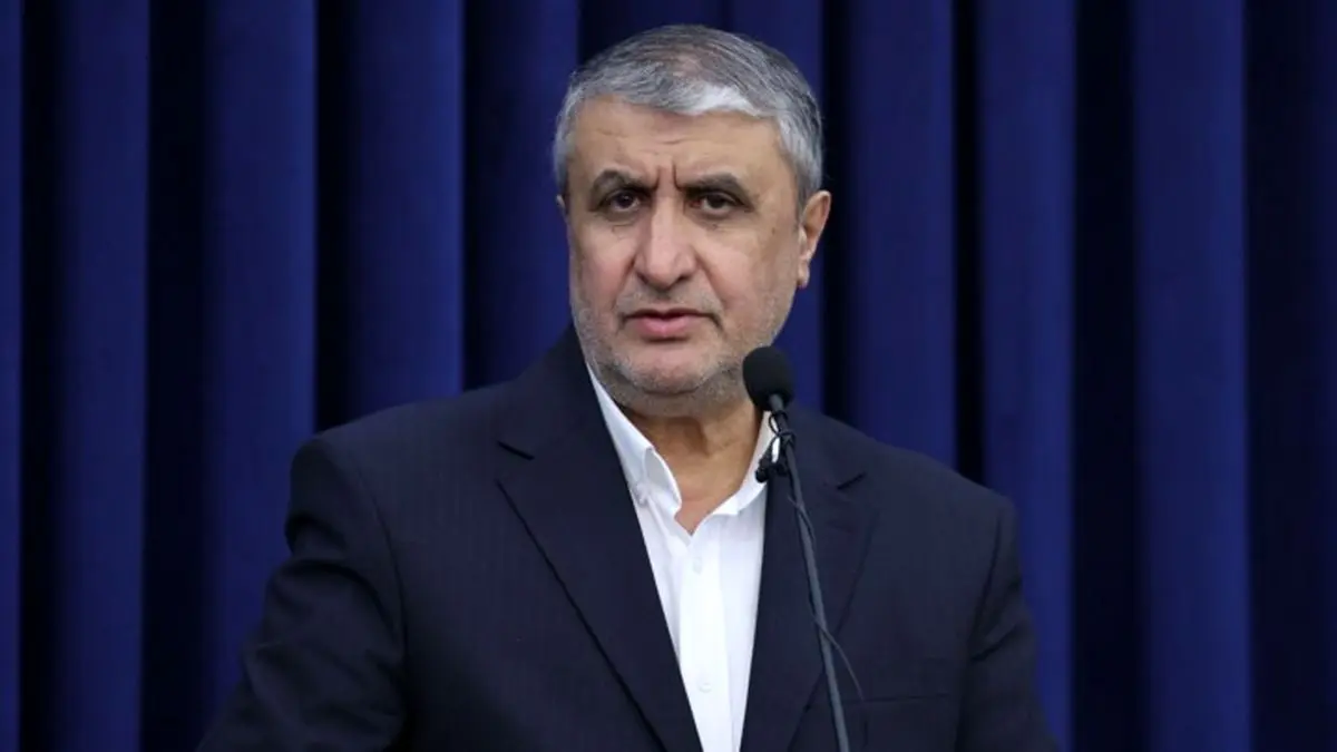 سفر ۲ تن از بازرسان آژانس به ایران با مجوز شعام