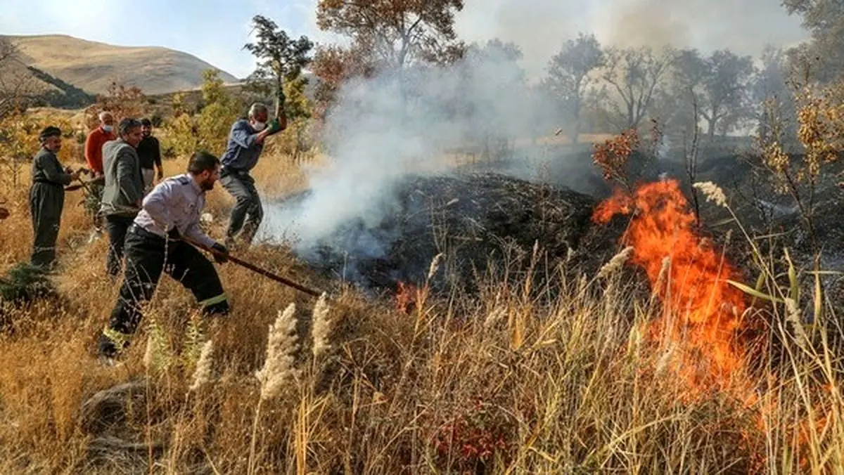 دستگیری عامل آتش‌سوزی در تالاب بیشه‌دالان بروجرد 