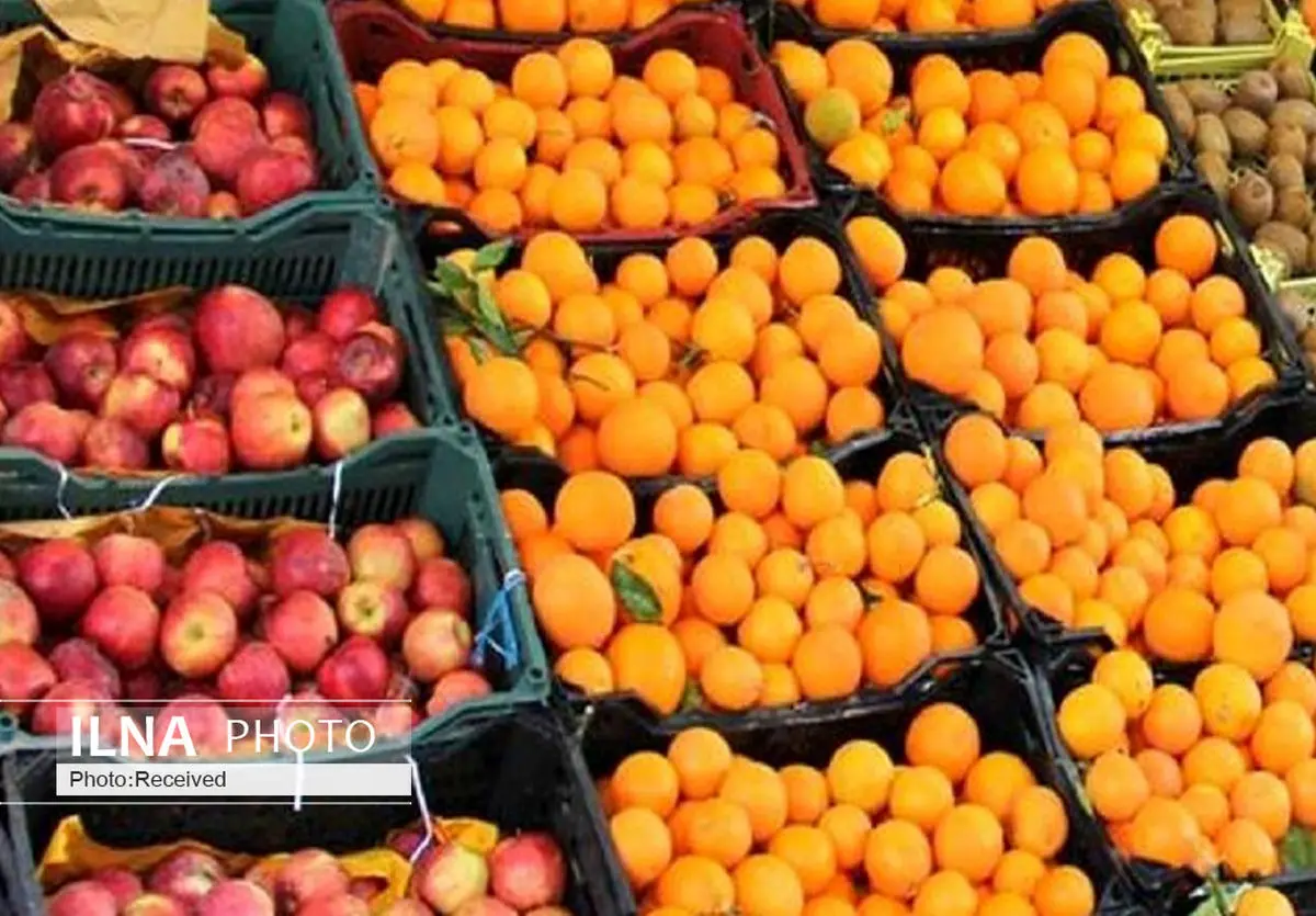 آغاز عرضه میوه تنظیم بازاری در تهران 

