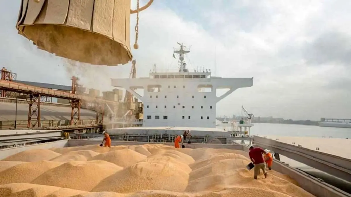 ۲ کشتی ۱۳۸ هزار تنی نهاده دامی در لنگرگاه در نوبت پهلوگیری هستند