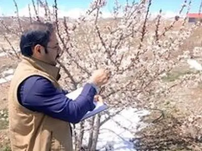 آغاز مدیریت آفات در تعدادی از زیستگاه‌ها
