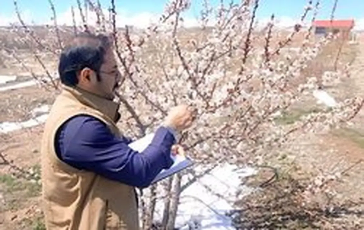 آغاز مدیریت آفات در تعدادی از زیستگاه‌ها