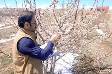 آغاز مدیریت آفات در تعدادی از زیستگاه‌ها
