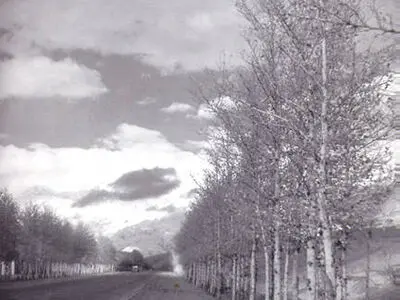  خیابان ولیعصر، ۶۳ سال قبل!