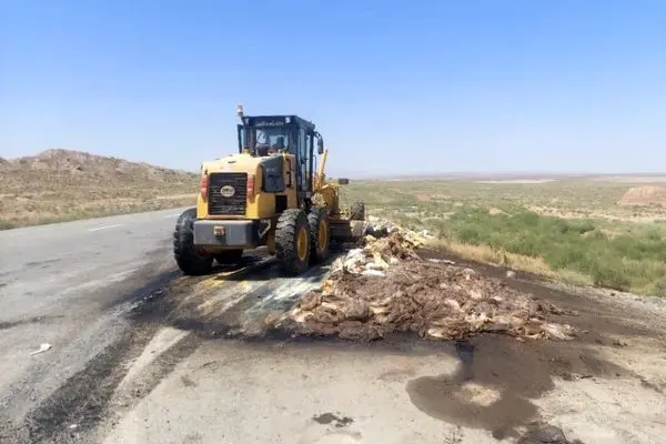 پسماند صنعتی در کنار جاده نظرآباد به اشتهارد پاکسازی شد