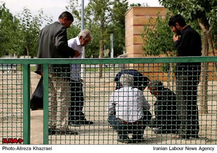 گالری