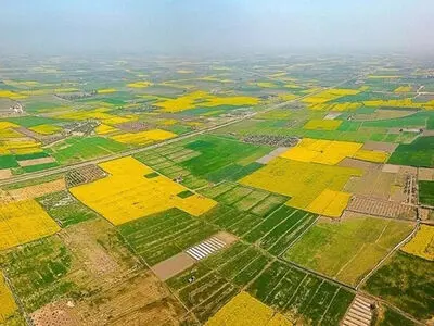 ۱۳۰ هزار هکتار از منابع طبیعی استان قزوین جهت صیانت به محیط زیست واگذار شد