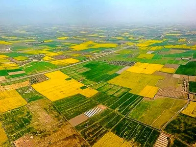 ۱۳۰ هزار هکتار از منابع طبیعی استان قزوین جهت صیانت به محیط زیست واگذار شد