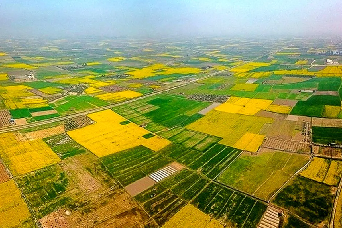 ۱۳۰ هزار هکتار از منابع طبیعی استان قزوین جهت صیانت به محیط زیست واگذار شد