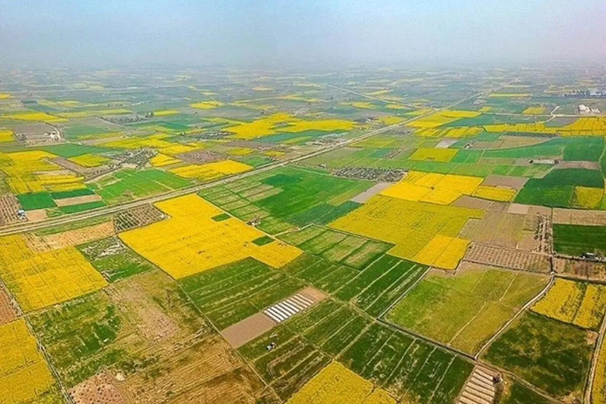 ۱۳۰ هزار هکتار از منابع طبیعی استان قزوین جهت صیانت به محیط زیست واگذار شد
