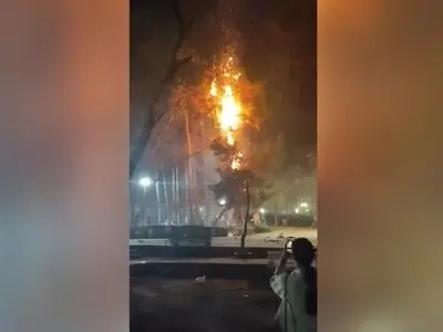آتش‌سوزی درختان در پارک قیطریه تهران در شب چهارشنبه آخرسال + فیلم