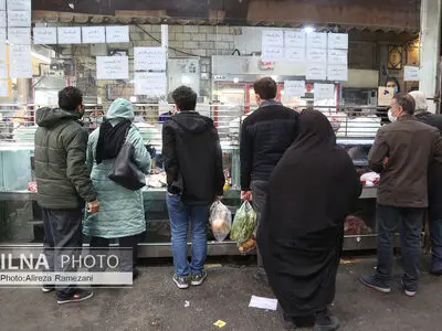 چه خبر از بازار مرغ؟!
