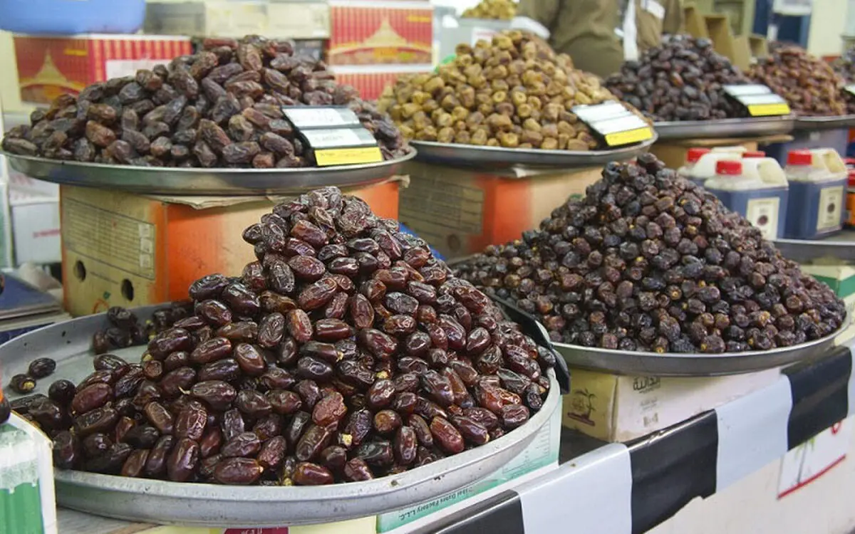 ورود عربستان و امارات به کشت نخل خرما/ افغانستان امکان رقابت با ایران را ندارد 