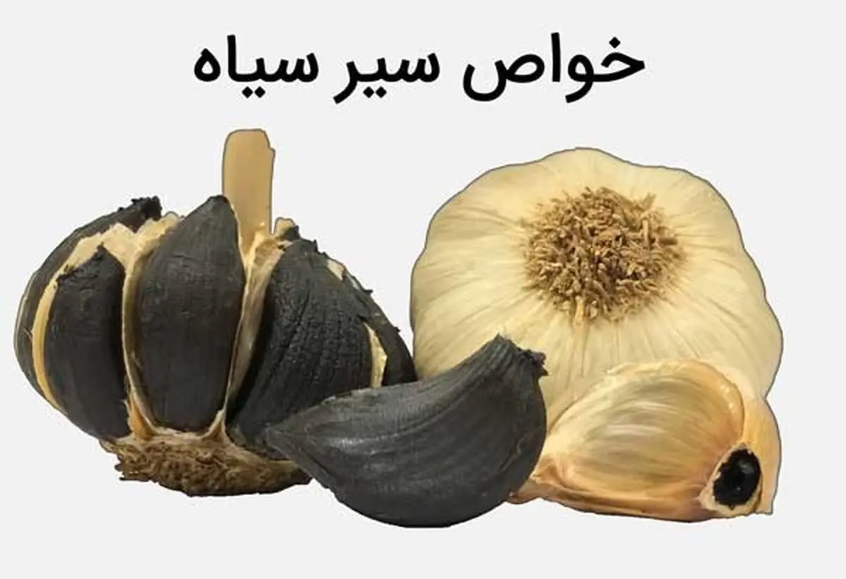 سیر سیاه + 12 خاصیت درمانی فوق العاده آن