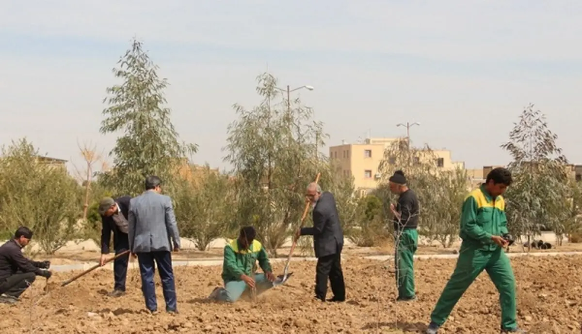 کاشت ۱۲ هزار اصله درخت در هفته منابع طبیعی کاشان/ کلنگ زنی طرح آبخوان کاشان با اعتبار سی میلیارد ریالی