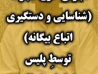 جدیت پلیس در طرح بازگرداندن اتباع غیرقانونی + فیلم