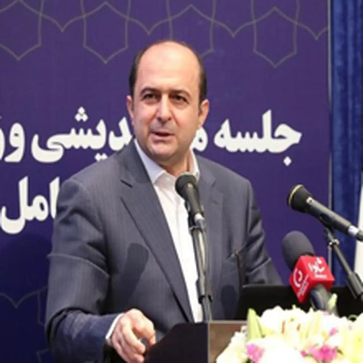 تمجید معاون وزیر اقتصاد از سامانه‌های بانکداری الکترونیک بانک ملی ایران