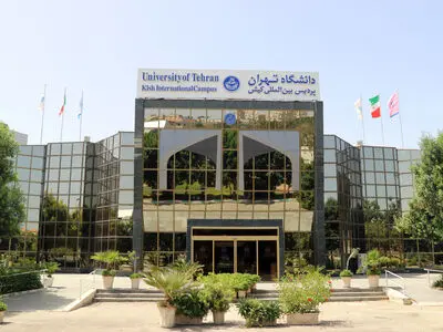 افزایش پذیرش دانشجو از قطر در پردیس بین‌المللی کیش دانشگاه تهران
