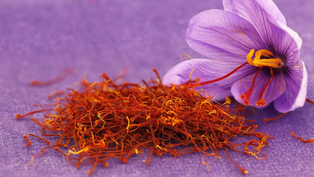 تولید کاغذ از گلبرگ زعفران 