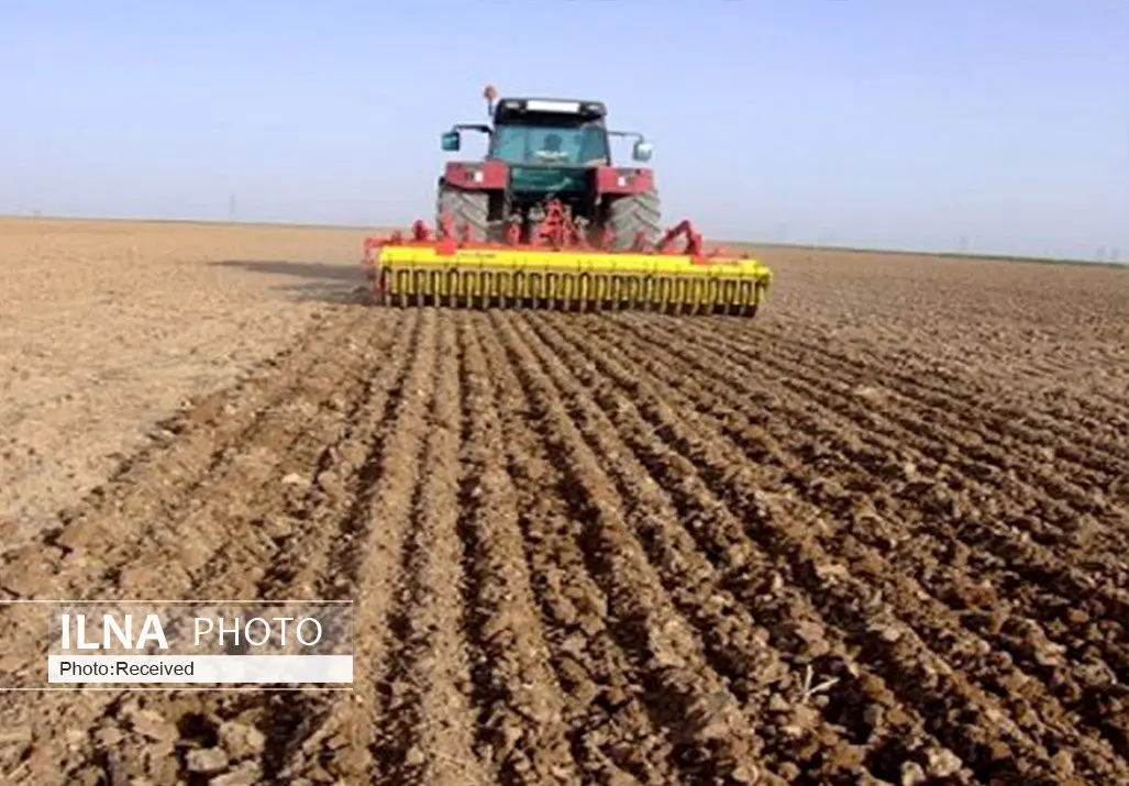 اختصاص 120 هزار هکتار از مزارع قزوین به طرح جهش تولید