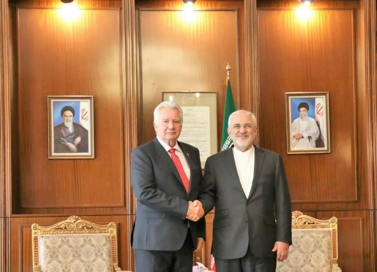 گفت‌وگوی ظریف با نائب رییس مجلس مجارستان برای همکاری‌های پارلمانی، توریسم و مدیریت آب