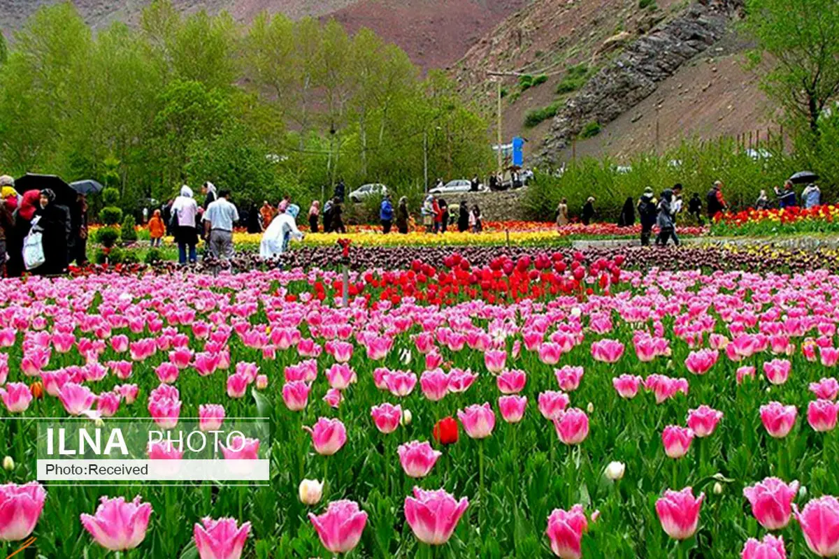 برگزاری اولین جشنواره گل های پاییزه در قزوین