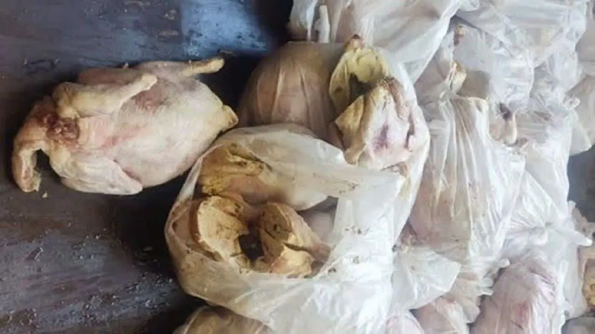کشف ۱۳ تن گوشت و فرآورده های پروتئینی فاسد در تبریز