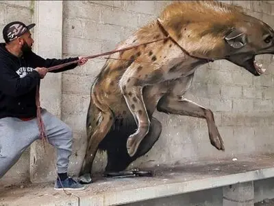 نقاشی‌های برجسته‌ای که زنده تصور می‌شوند/ نگاهی به آثار کادرگریز سرجیو اودیث؛ نقاش پرتغالی