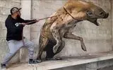نقاشی‌های برجسته‌ای که زنده تصور می‌شوند/ نگاهی به آثار کادرگریز سرجیو اودیث؛ نقاش پرتغالی