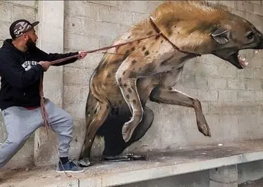 نقاشی‌های برجسته‌ای که زنده تصور می‌شوند/ نگاهی به آثار کادرگریز سرجیو اودیث؛ نقاش پرتغالی